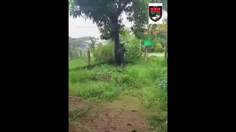 🔫🌍 Myanmar Conflict | LPF Attacks Junta Police in Launglone | RCF