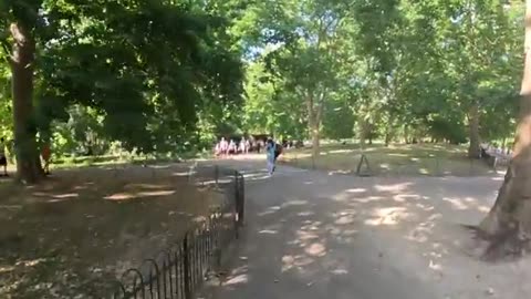 Fully Undressed Man walking Round Children at Buckingham Palace