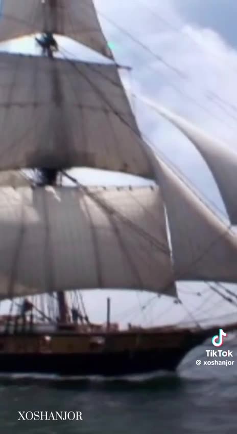 Free and Enslaved Blacks fought on both sides of the war