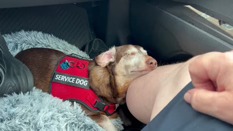 He have to touch me