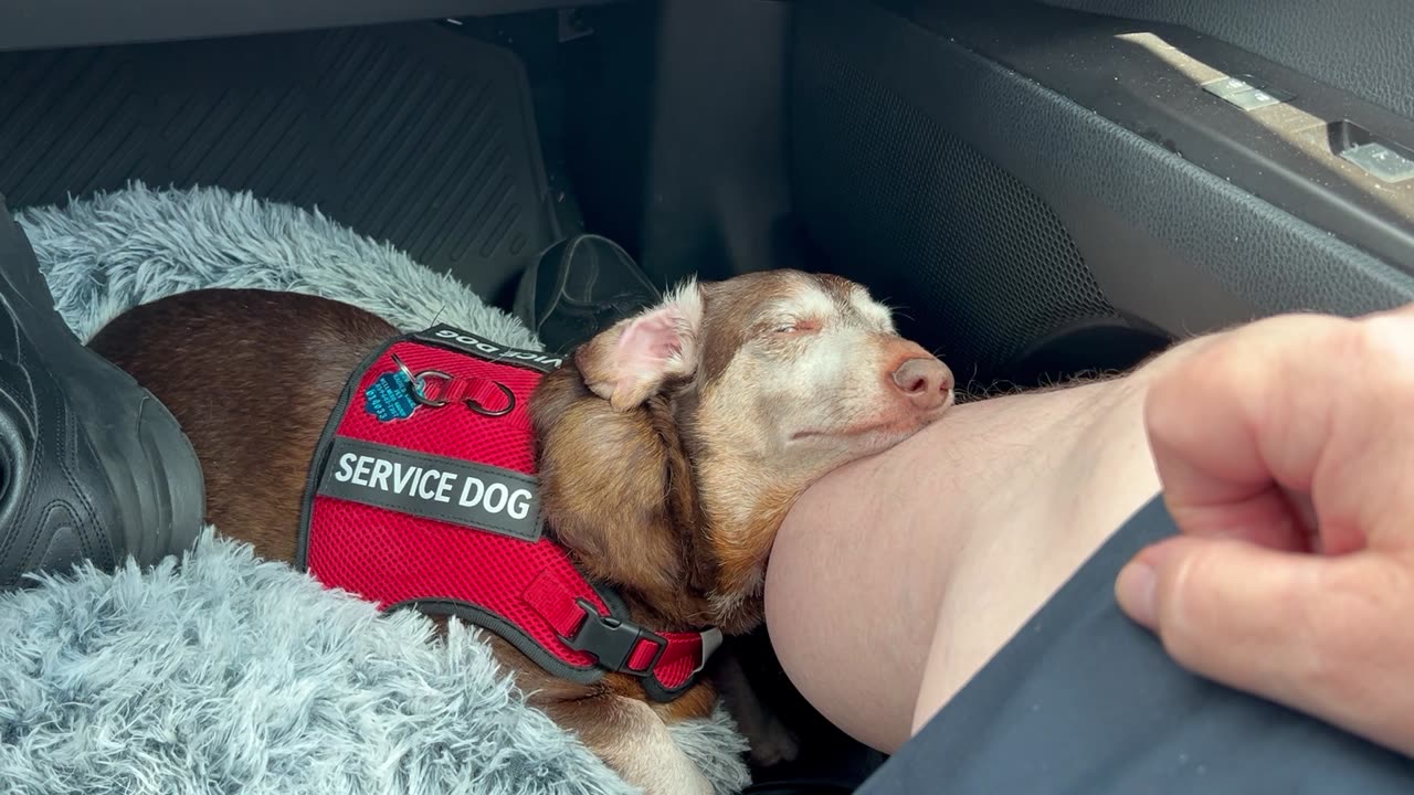 He have to touch me