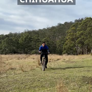 If Different Animals Rode Bikes. Part 2