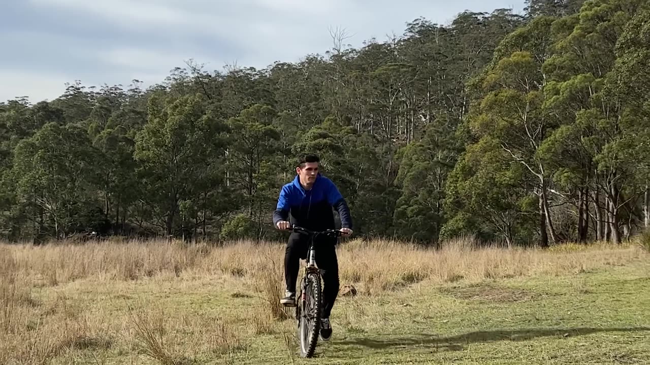 If Different Animals Rode Bikes. Part 2