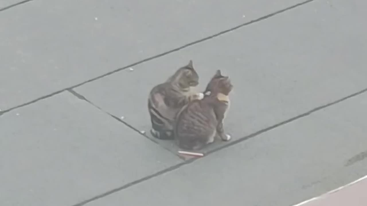 laugh till you cry! 😂