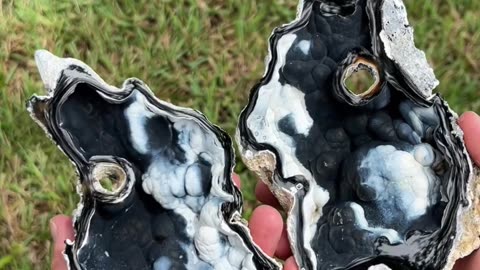 ✨🌊 I Found and Polished a Beautiful Agatized Coral Geode! | FeedMyCuriosity