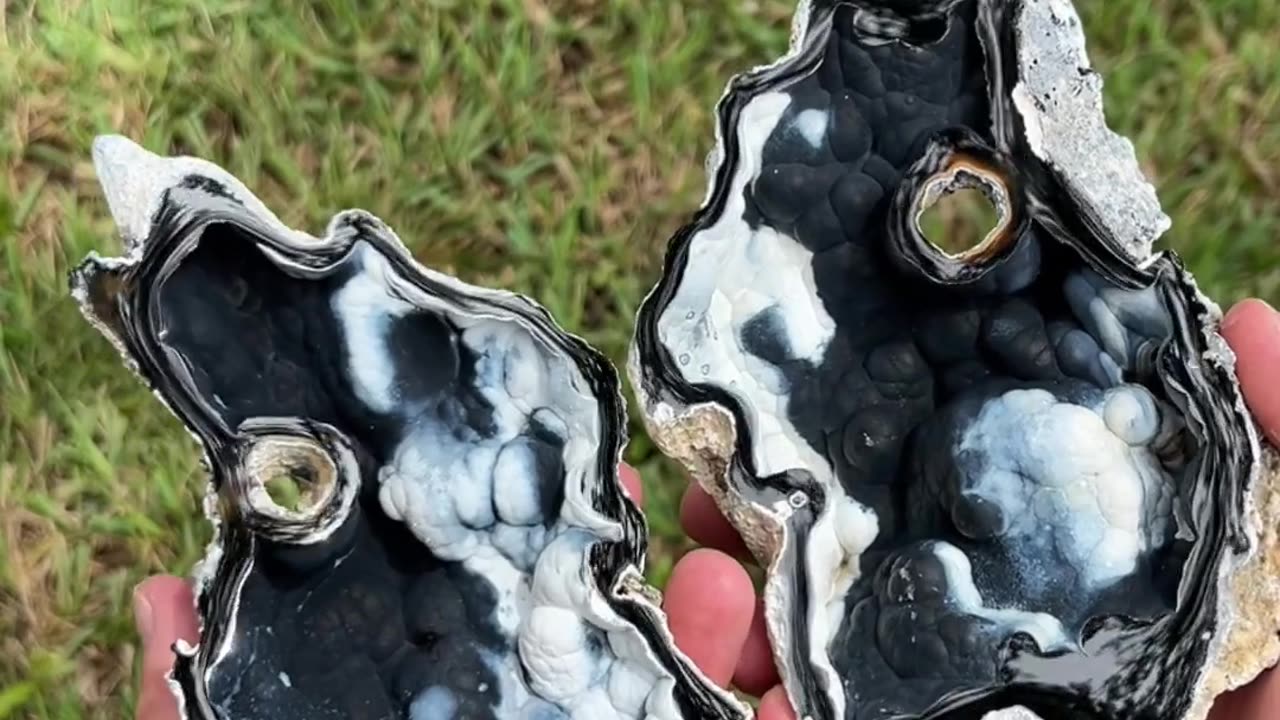 ✨🌊 I Found and Polished a Beautiful Agatized Coral Geode! | FeedMyCuriosity