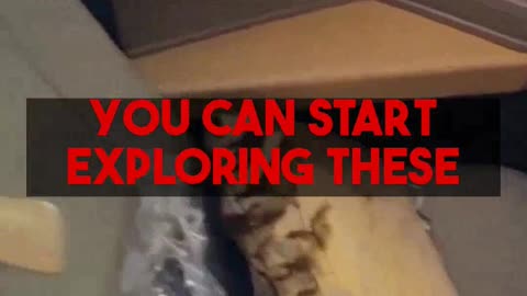 Mighty Travels Premium Walkthrough: Business Class & 5-Star for $9.99/month