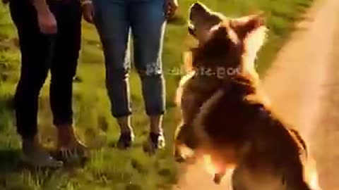 Baby fell into an open drain hole