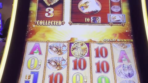 Free Games on #BuffaloGold 🎉🎰💵