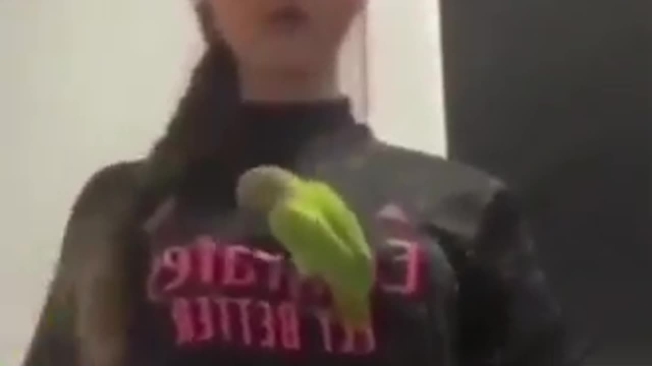 Poor Bird