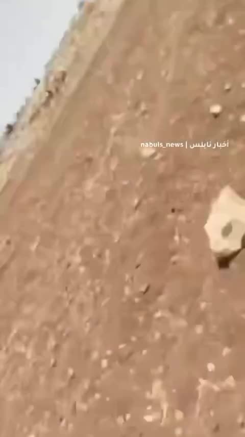 A Palestinian was killed after being shot by Israeli settlers