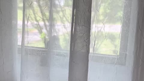 Who's that knocking?