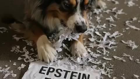 🤯 Should Epstein's Files Be Released? | FunFM