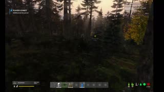 DayZ PVE