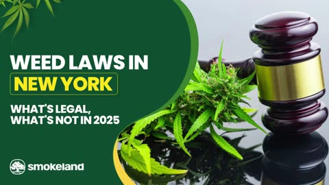 What You Need to Know About the Weed Laws in New York in 2025