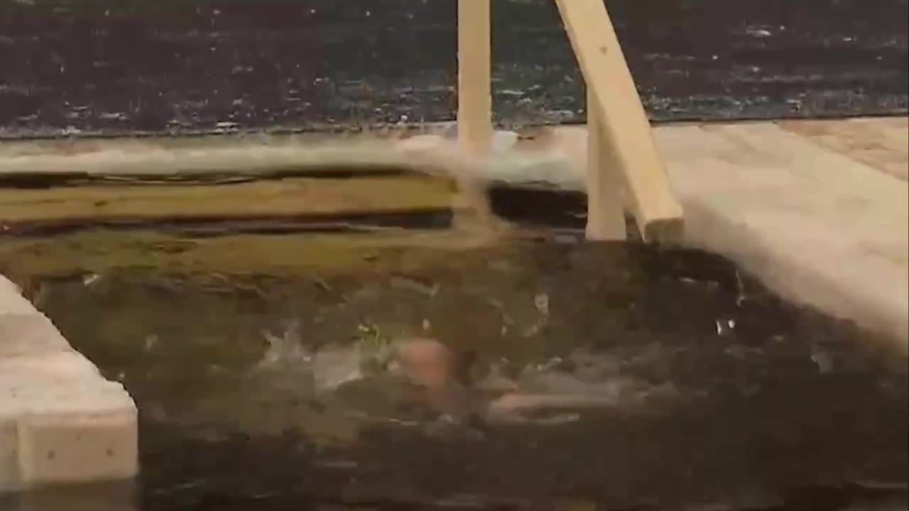 Putin traditionally dipped into the ice hole on Epiphany