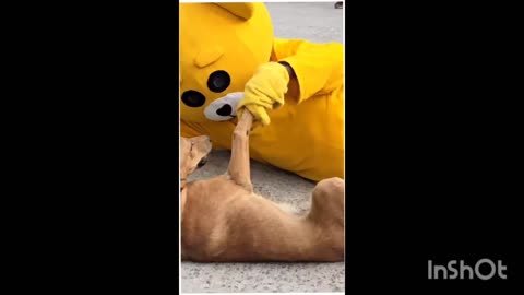 So sweet Video