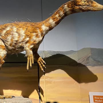 Dracoraptor: The Dragon Thief of Wales 🐉