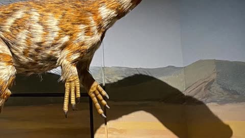 Dracoraptor: The Dragon Thief of Wales 🐉