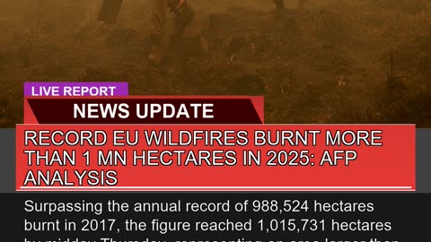 Record EU Wildfires Burnt More Than Mn Hectares