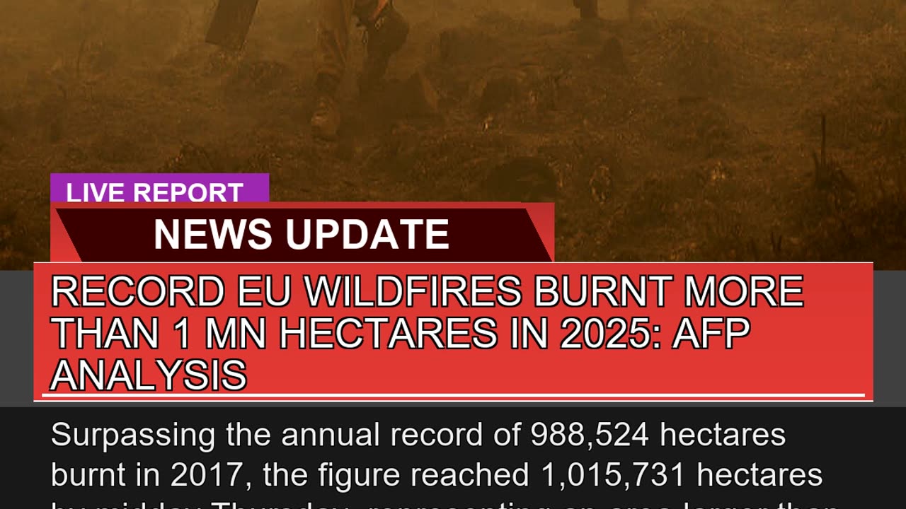 Record EU Wildfires Burnt More Than Mn Hectares