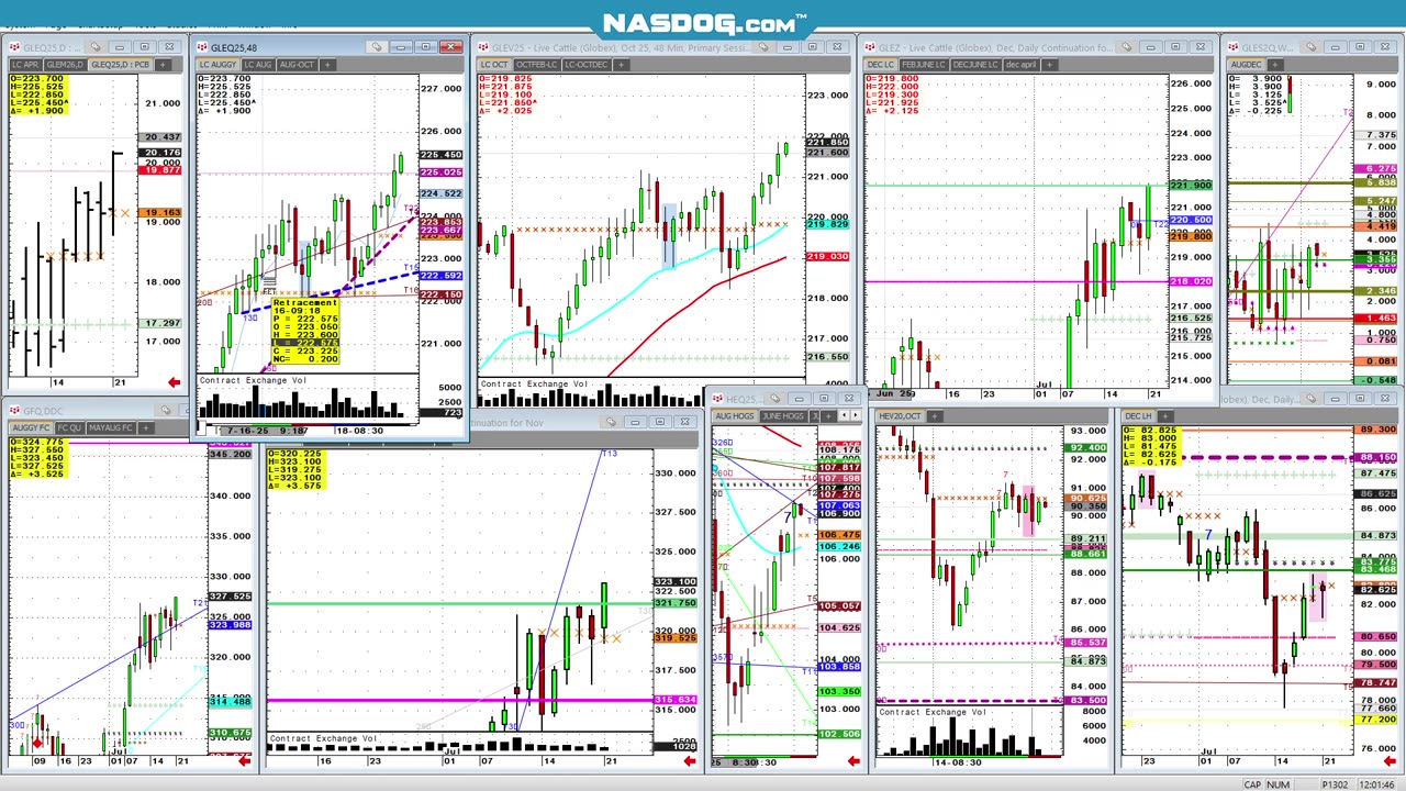 July21 late Cattle 4min