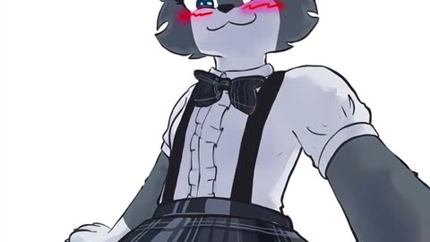 ⋆˚ 𝜗🐈‍⬛𝜚˚⋆