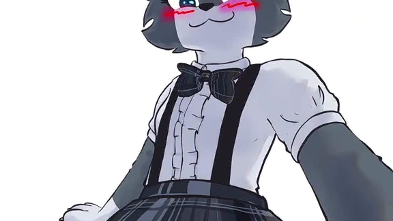 ⋆˚ 𝜗🐈⬛𝜚˚⋆