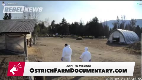 Where is the ostrich farm now, two months after the CFIA slaughter?