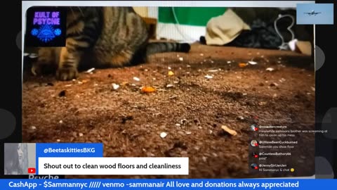 11/26/25 Sammannyc VOD: "Yurrrrrrrr chilling $2 tts $ 3media"