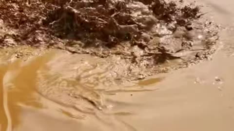 🤯👍 The Ultimate [Something] Hack! | LifeHacksDaily