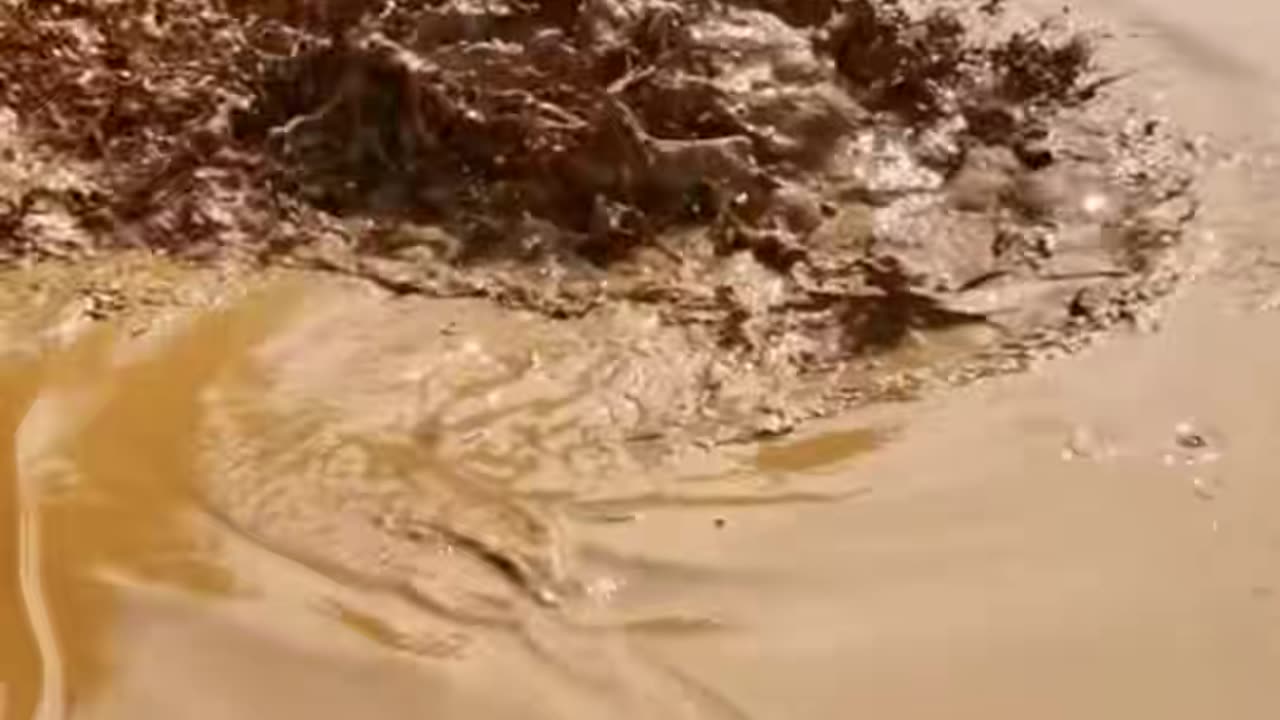 🤯👍 The Ultimate [Something] Hack! | LifeHacksDaily