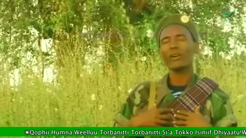 Qophii Humna Weelluu ONM-ABO Fulbaana 3-2025 itti dhiyaadhaa!