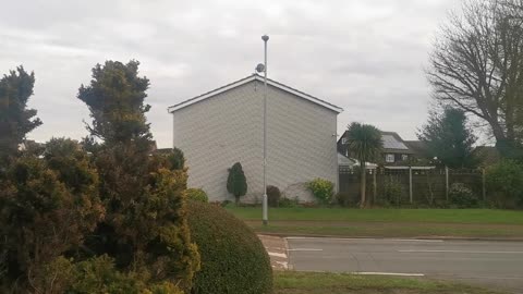 They WILLL Pay to Make You Diss Appear To Cover Up Royal Blue MURDER