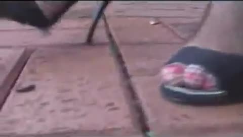 Leila Snail Crush