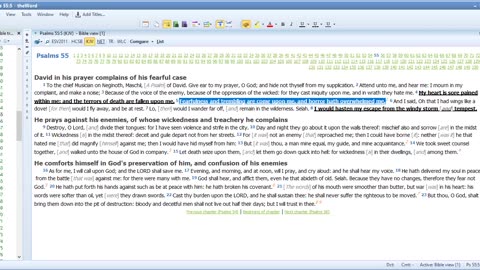 Bible Study Psalms 55