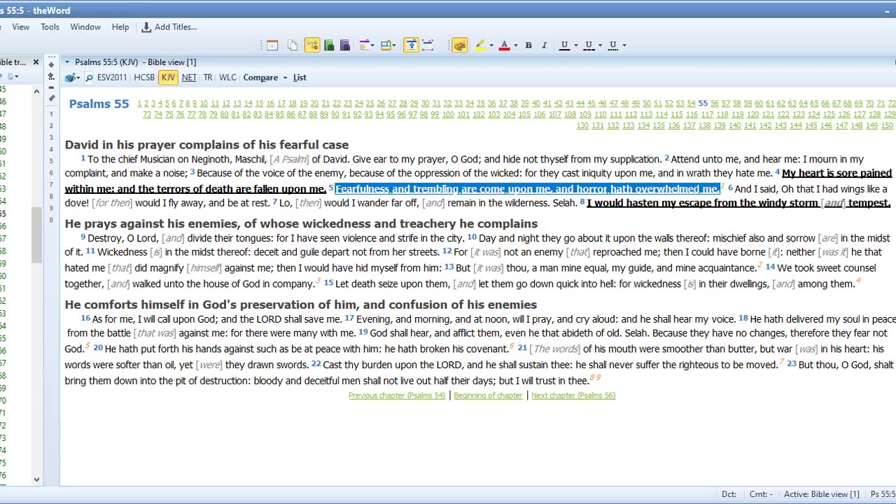 Bible Study Psalms 55