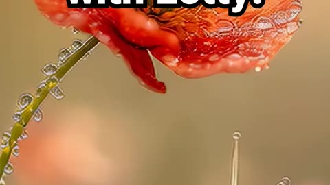 Breathe. Slow down with Lotty. #sleepaid #meditation #positiveenergy #motivation