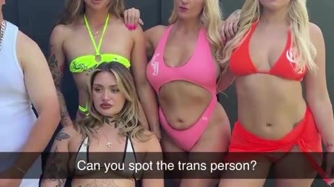 Spot The Trans