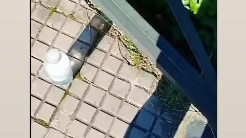 Urgente!! Vuelven a tirar un petardo 🧨