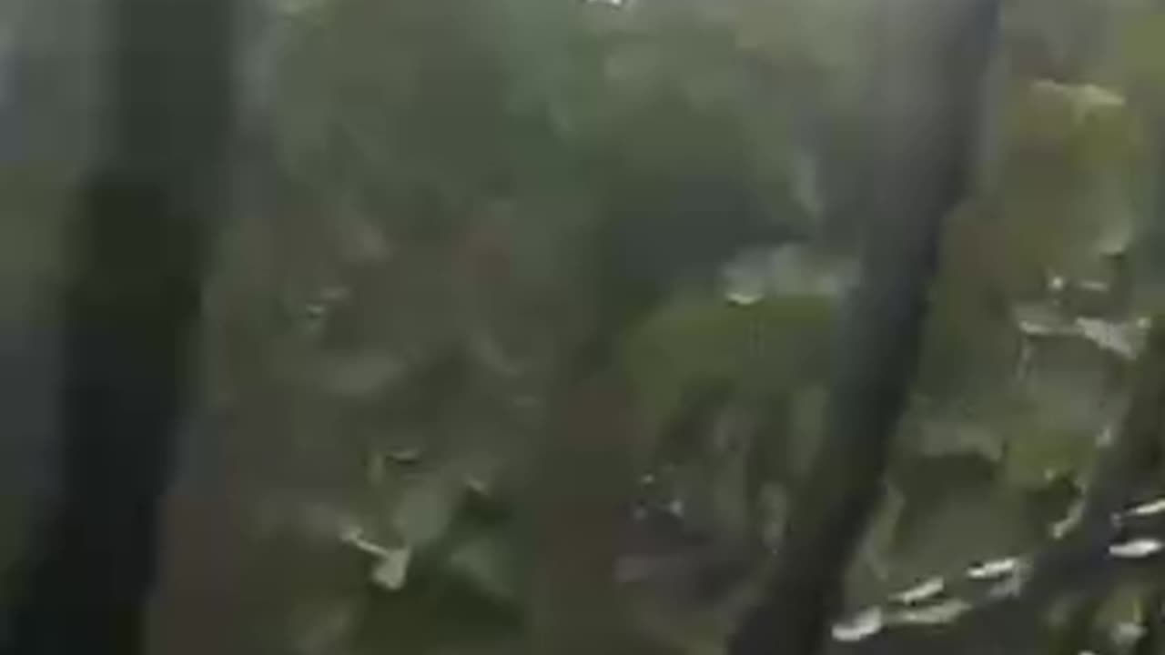 Palestinian media reports a large wave of airstrikes near the European Hospital