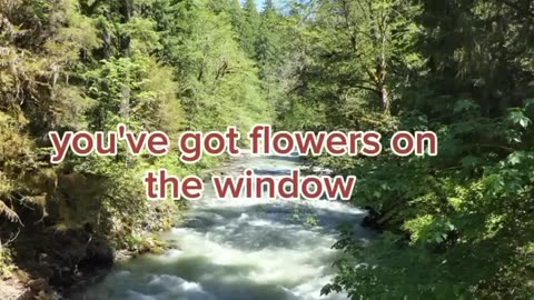 George Carlin on Home Loans Selling Your Life to the Bank [get-speed.com]