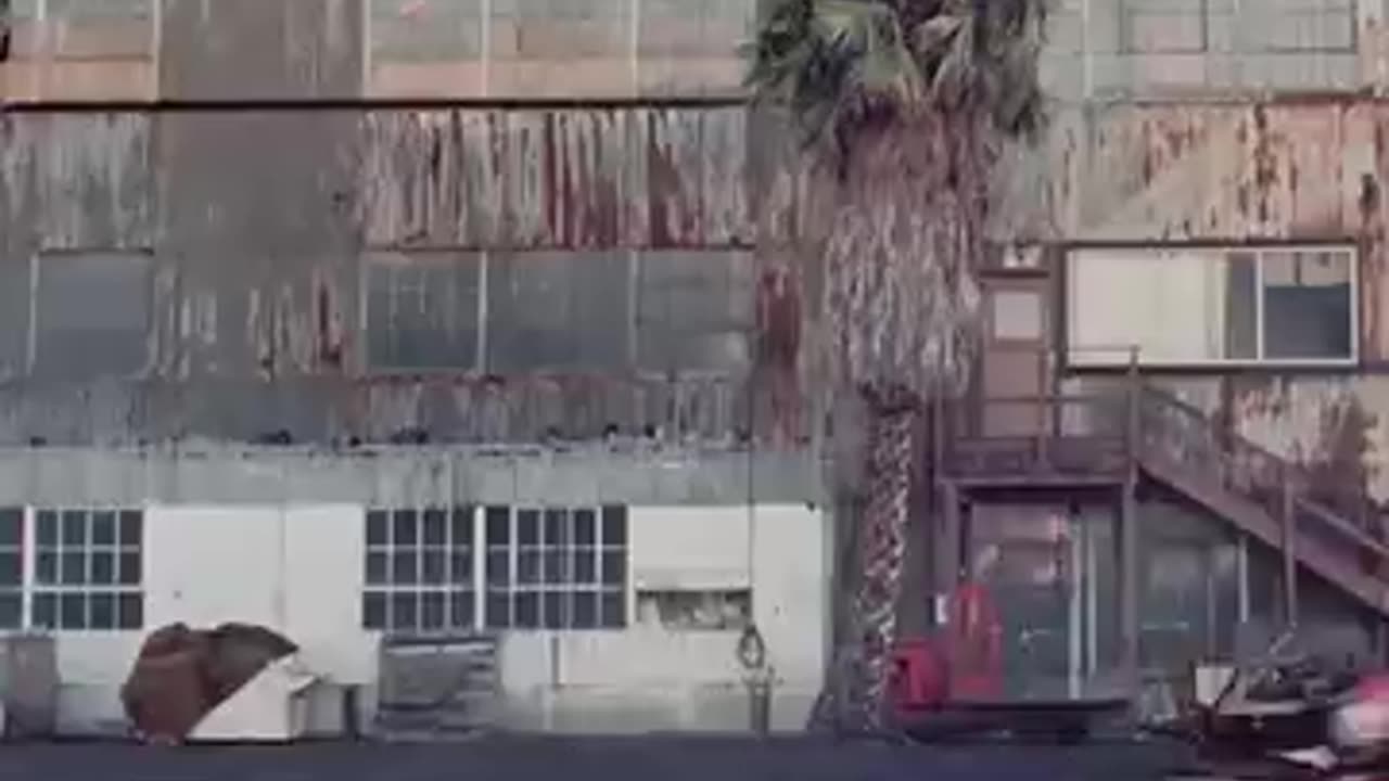 FF Racing Scene