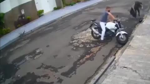 Woman prevents thief from stealing her motorbike