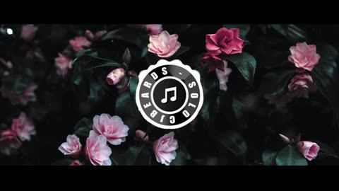 Cjbeards - Solo [ Latin, Dance ] EDM, Vlogs [No Copyright Sound] [FREE USE MUSIC] Tik Tok