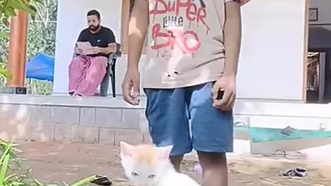 Viral: Dogs being idiots part 135 #funny #lovegoldens #funnypets #pets #cutegold