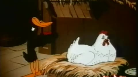 Looney Tunes - "The Stupid Cupid" - Daffy Duck ITALIANO