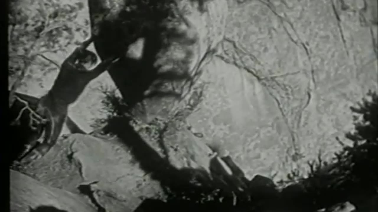 Riders of the Purple Sage (1925) - Full film - Tom Mix