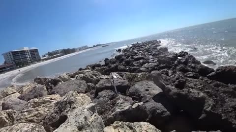 cambio foce o uscita di uno dei canali che sbocca1gamberi vivi o shrimp_part15