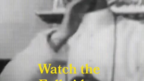 the woman of revelation 17 the beast of revelation 13 ⁨@SpiritofEmet⁩